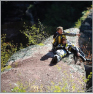 Please click for larger picture.